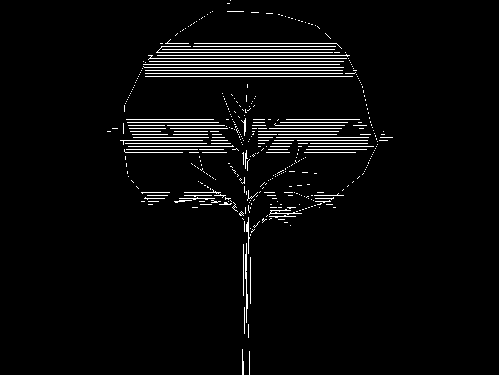 Tree 2D elevation