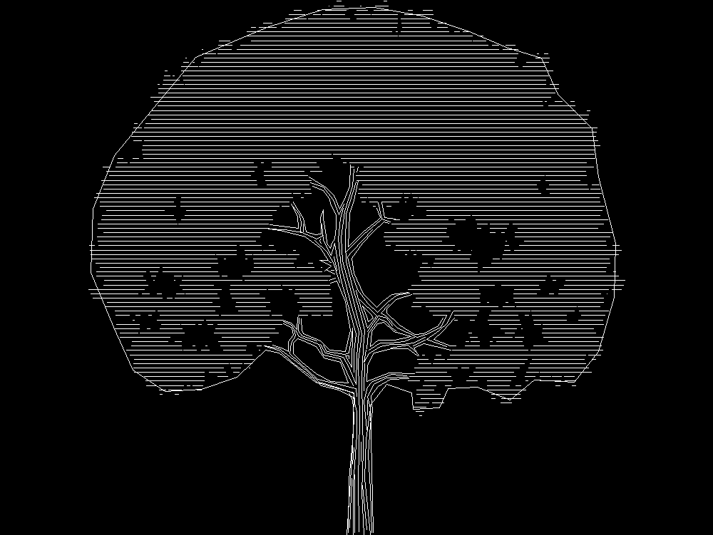 Tree 2D elevation