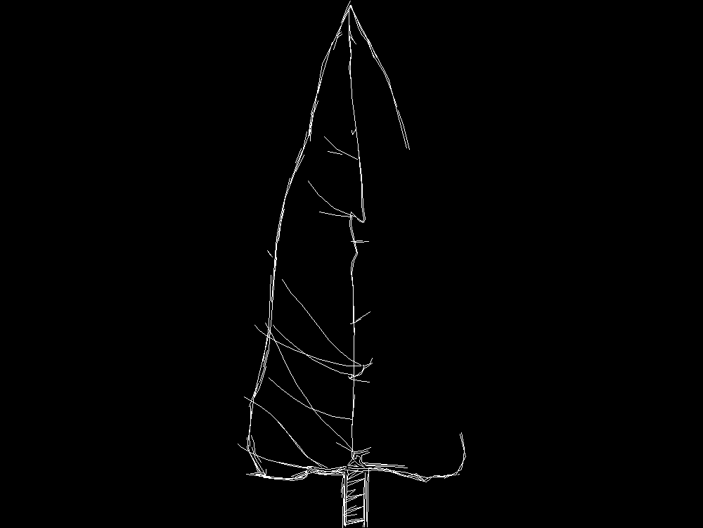 2D Coniferous tree - Elevation