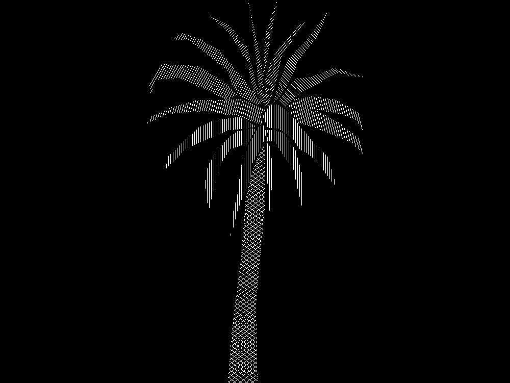 2d Palm - elevation