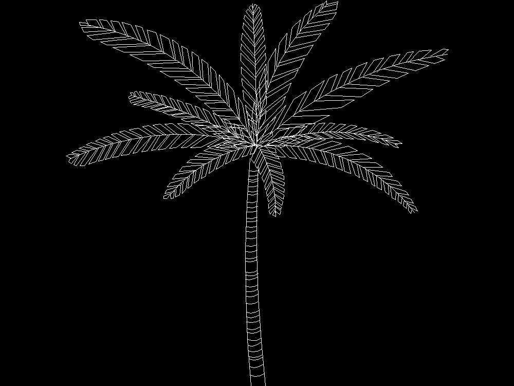 Palm tree in elevation