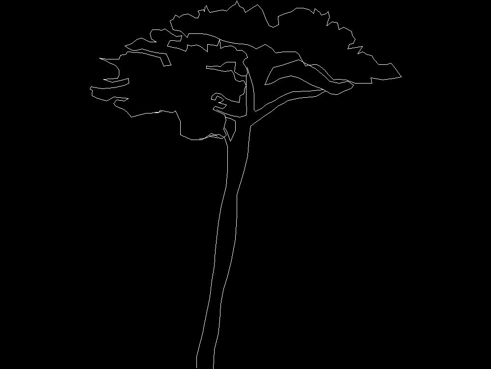 Tree 2D elevation