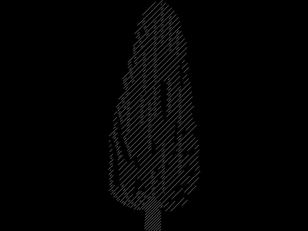 2D Coniferous tree - Elevation