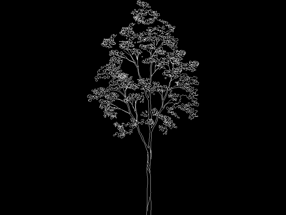 Tree 2D elevation
