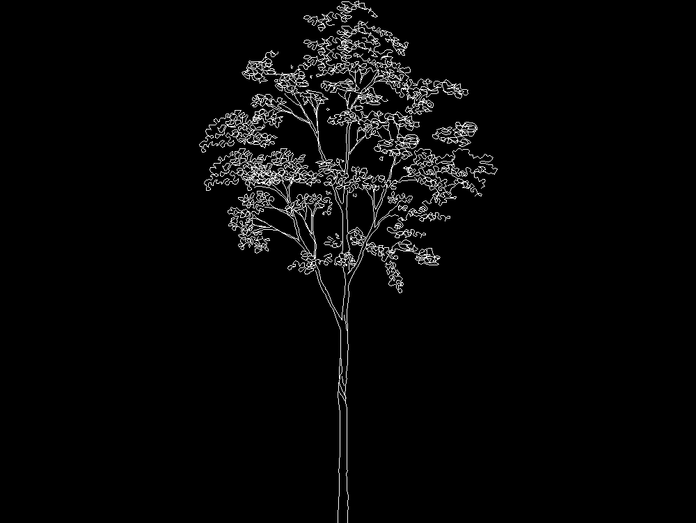 Tree 2D elevation