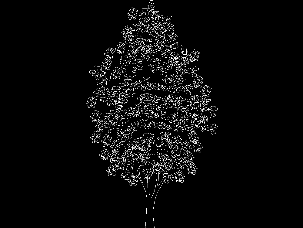 2D Coniferous tree - Elevation