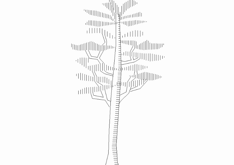 Tree 2D elevation