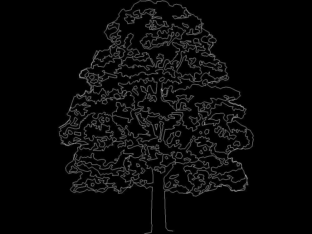 Tree 2D elevation
