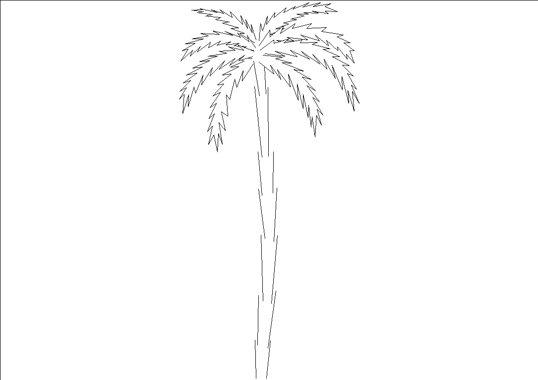 2d Palm - elevation