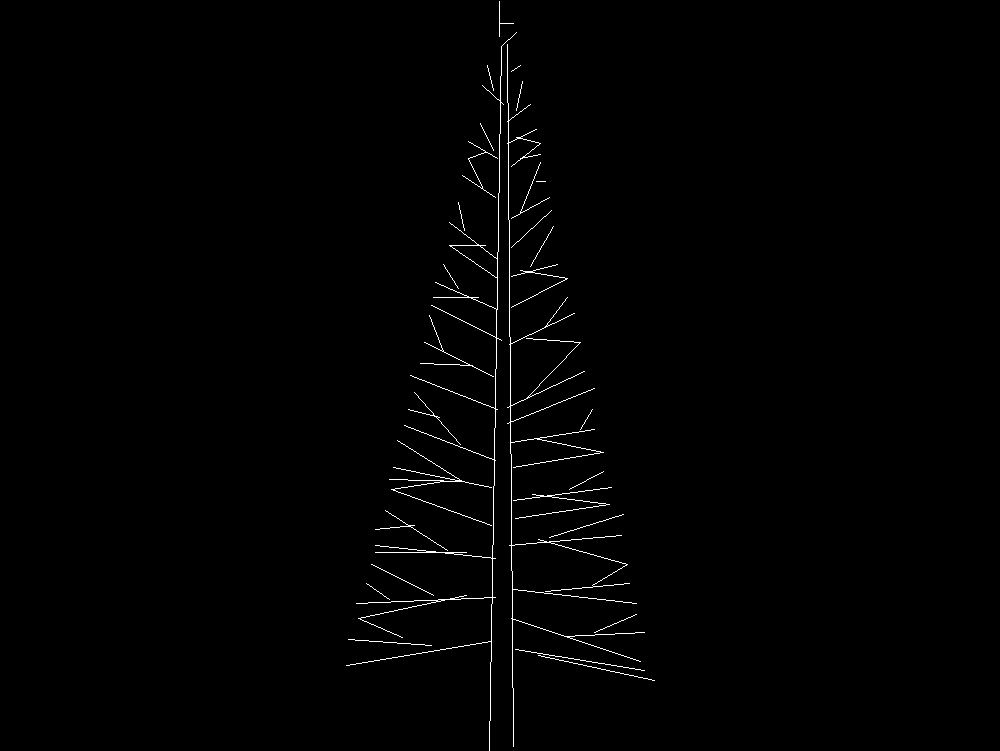2D Coniferous tree - Elevation