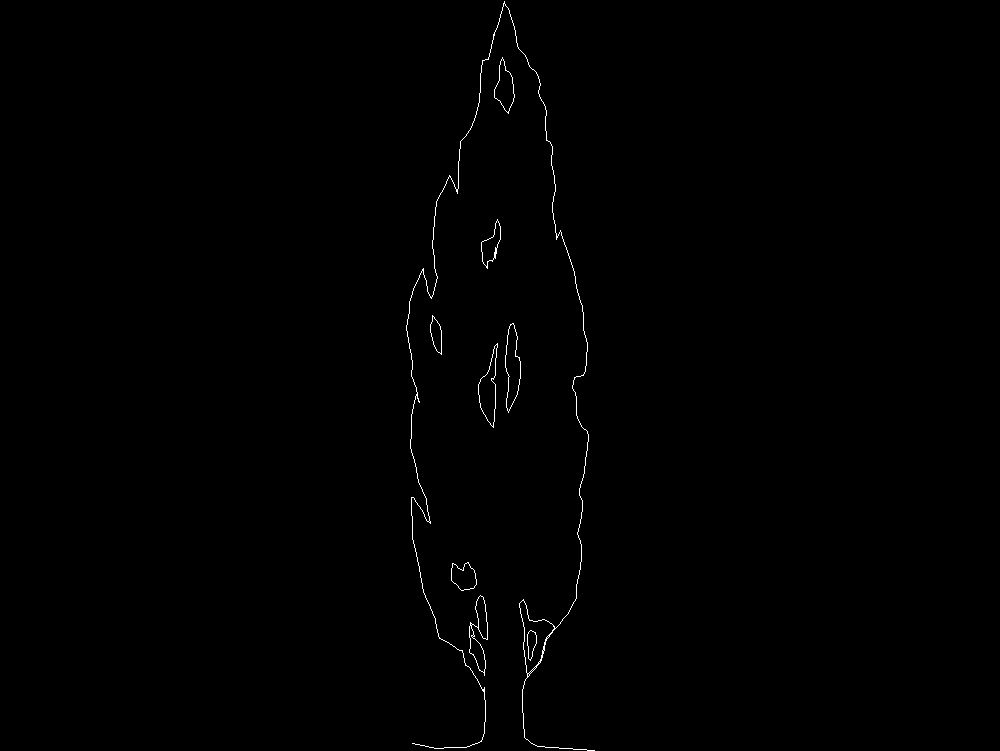 2D Coniferous tree - Elevation