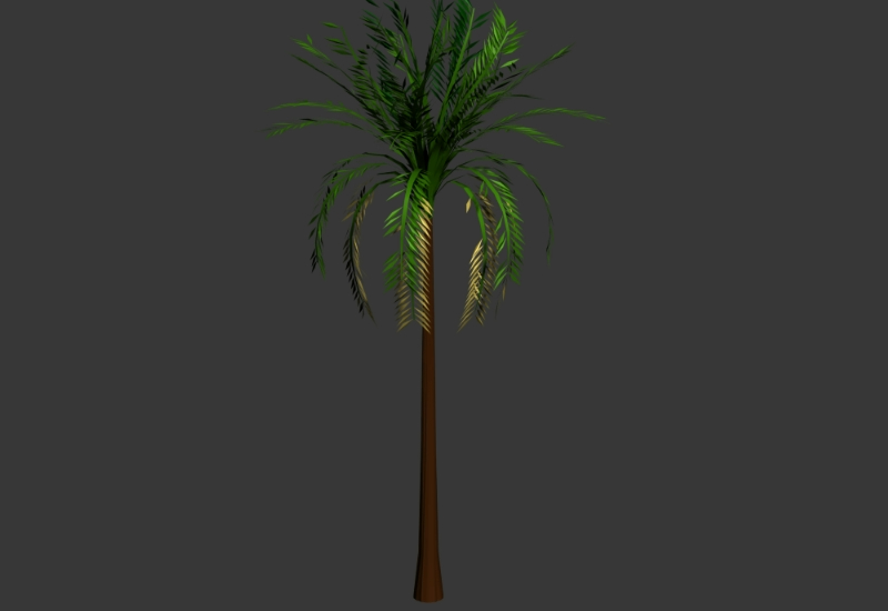 Palmeira 3D