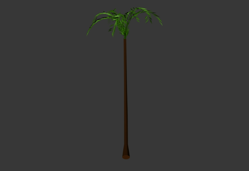 3D Palm