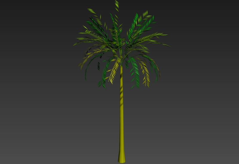 Palmeira 3D