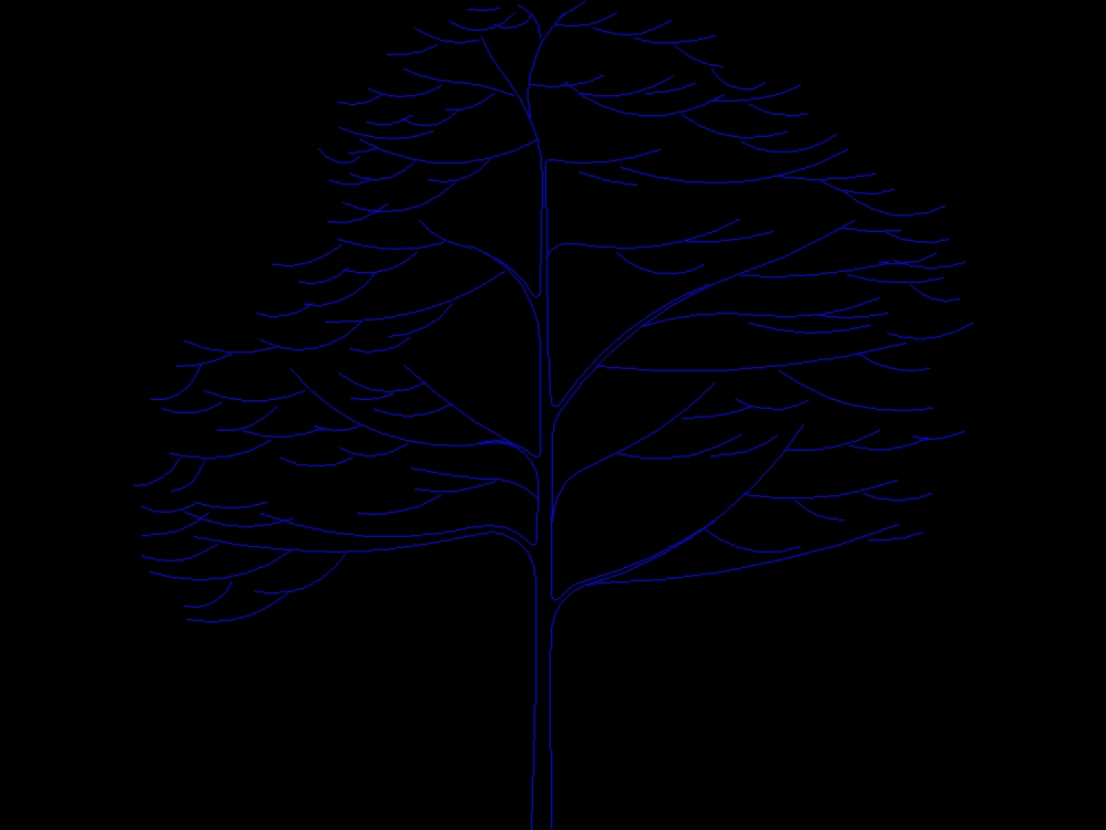 Tree in elevation 005