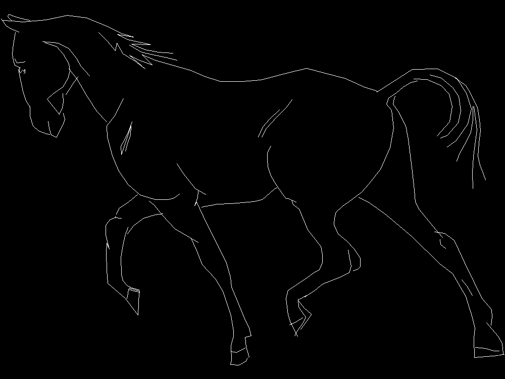 Horse