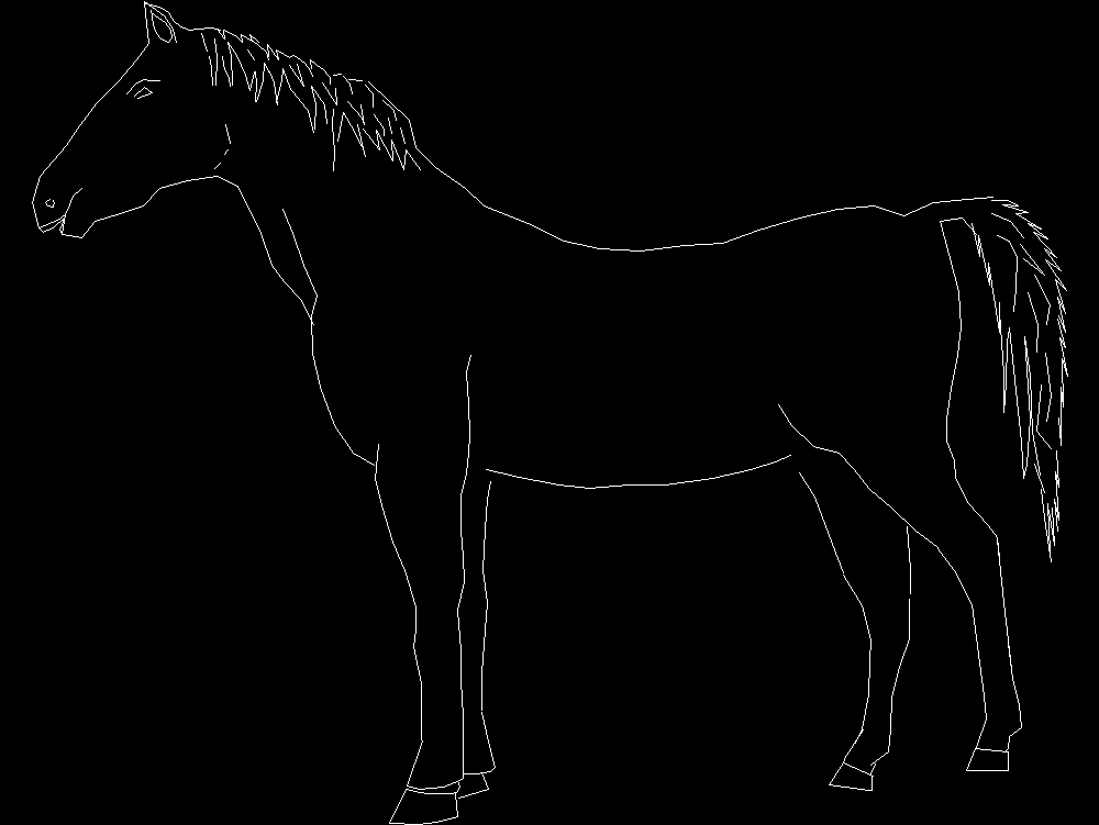 Horse