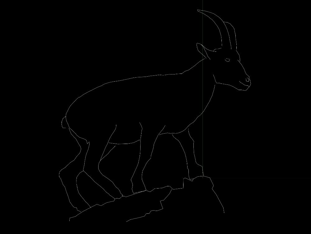 goat side view