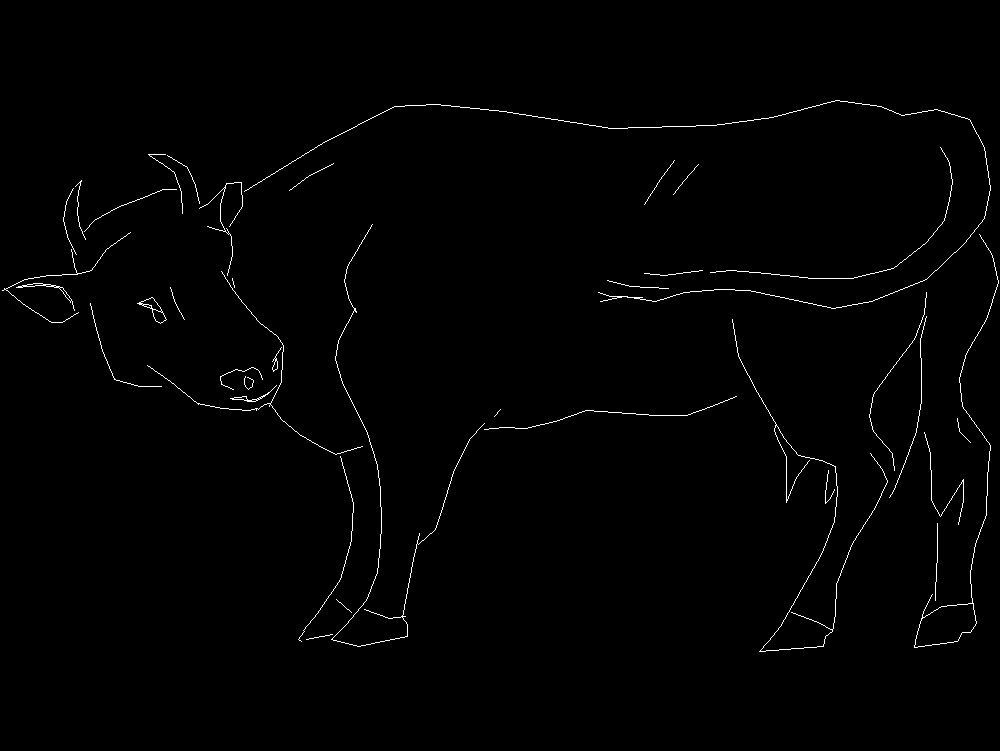Cow 002