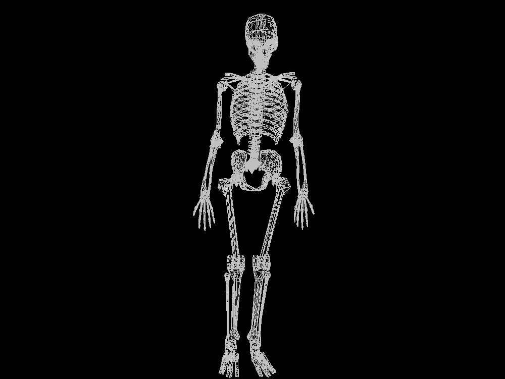 esqueleto 3d - arqueologia