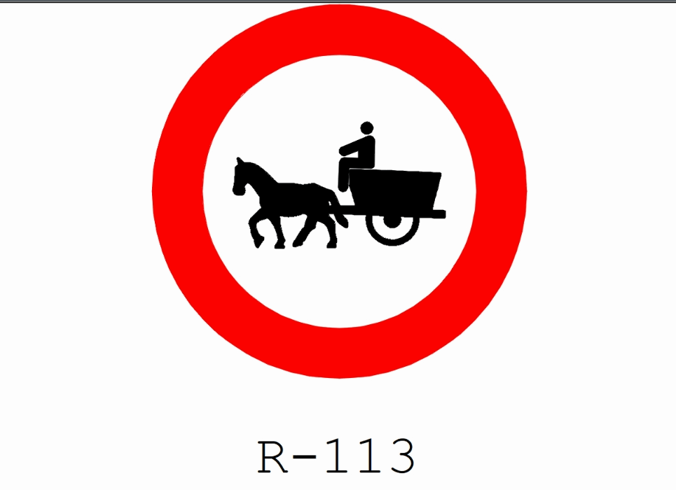 R - 113
