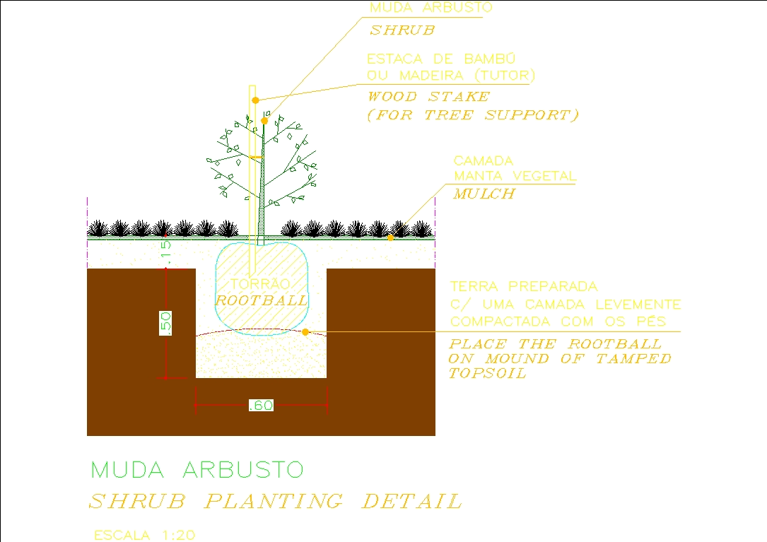Detail der Strauchpflanzung