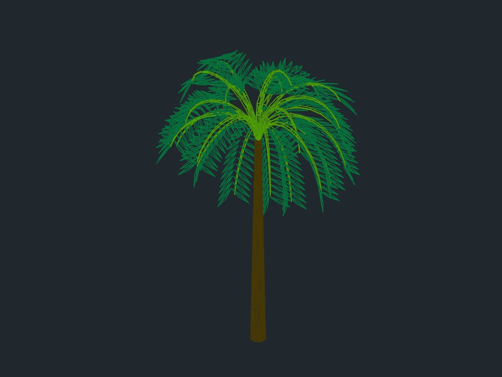 3D tropische Palme