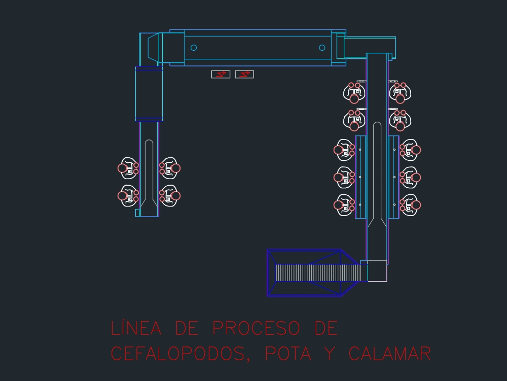 línea de proceso de cefalópodos