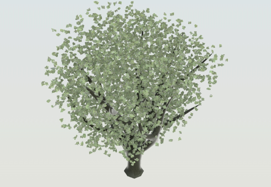 3D medium Tree