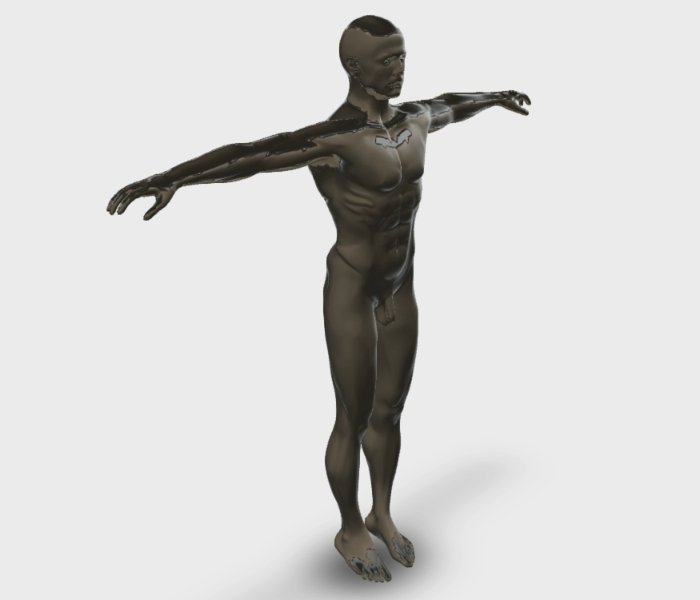 Figura Humana - Hombre desnudo