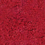 alfombra roja