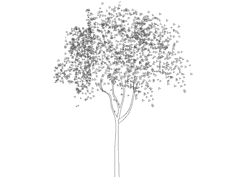 Baum.