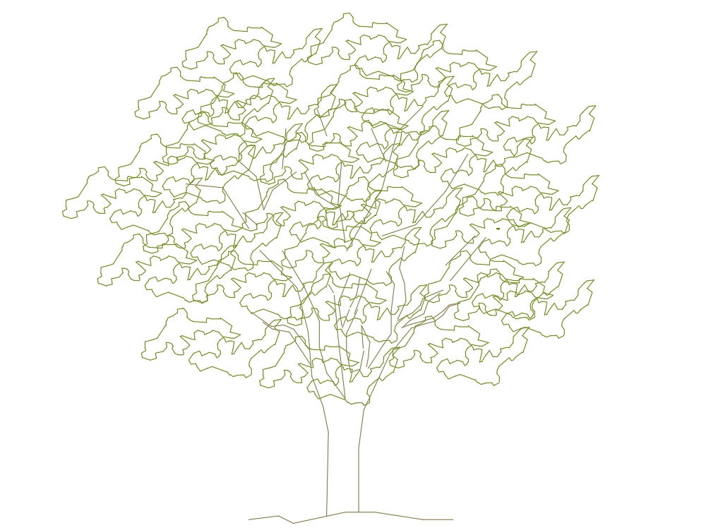 mittelgroßer Baum
