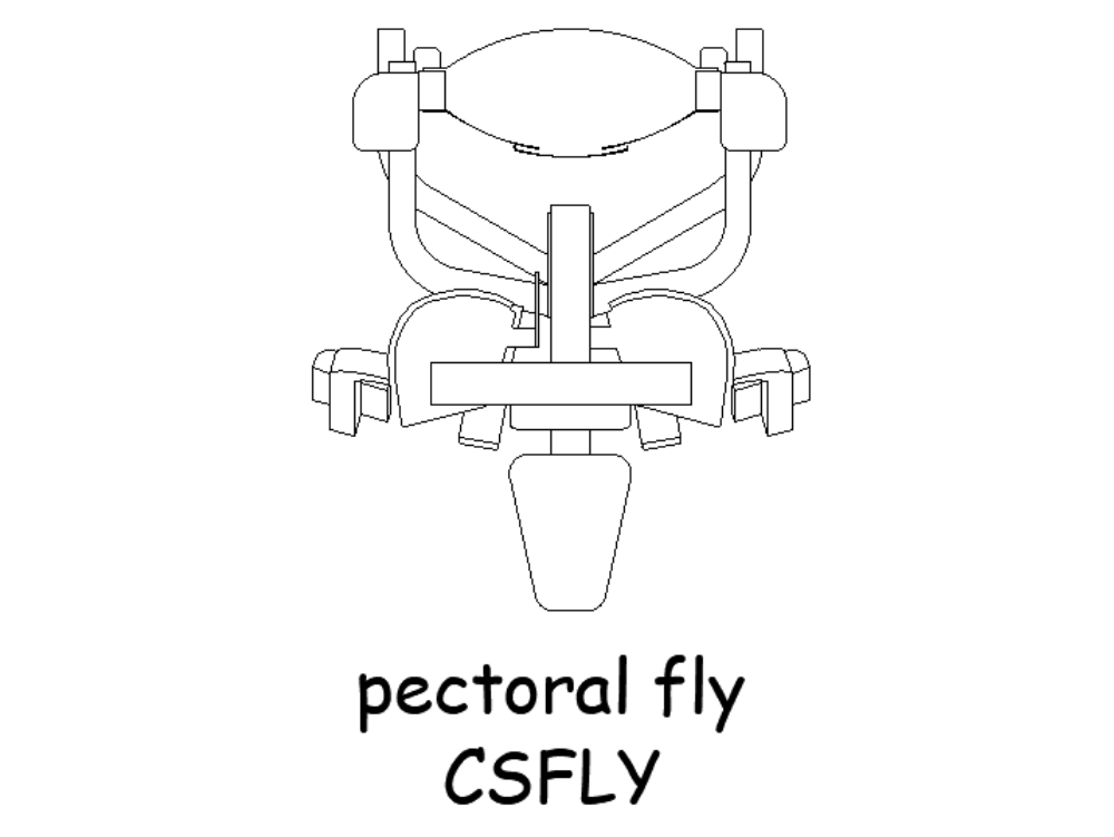 Pectoral fly.