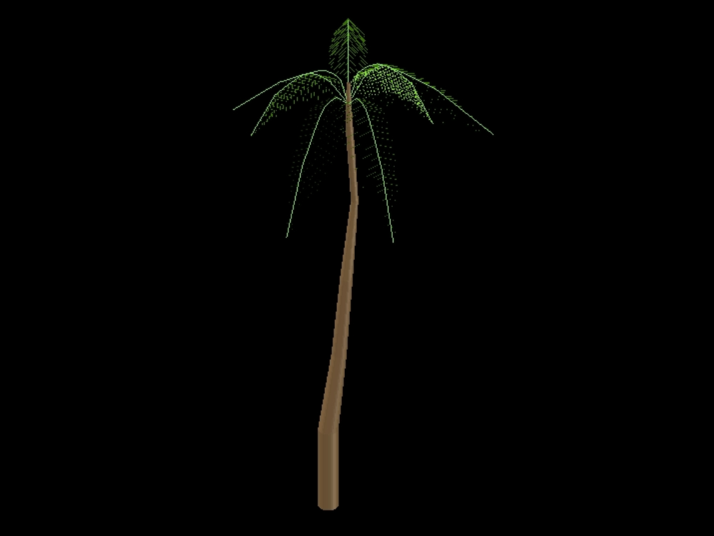 Palm tree in 3d.