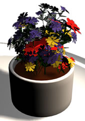 3D Indoor Flowers