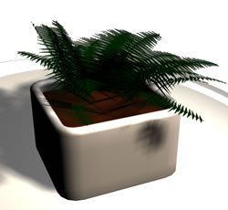3D Fern in flowerpot