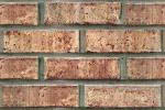 Common brick seen