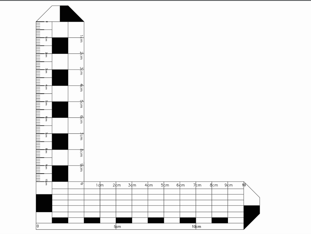Escala 5cm y milimetrica