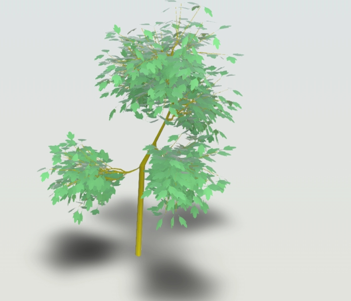 3D Tree -