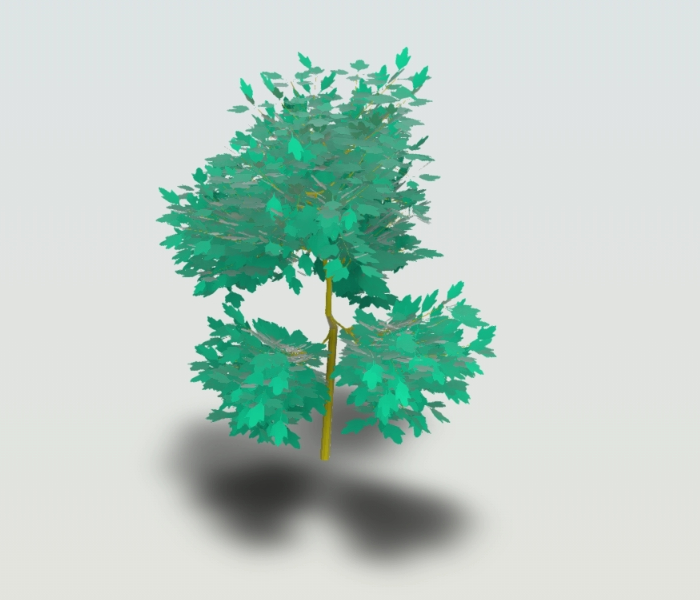3D Tree -