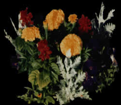 Blumen - Bild zum Rendern
