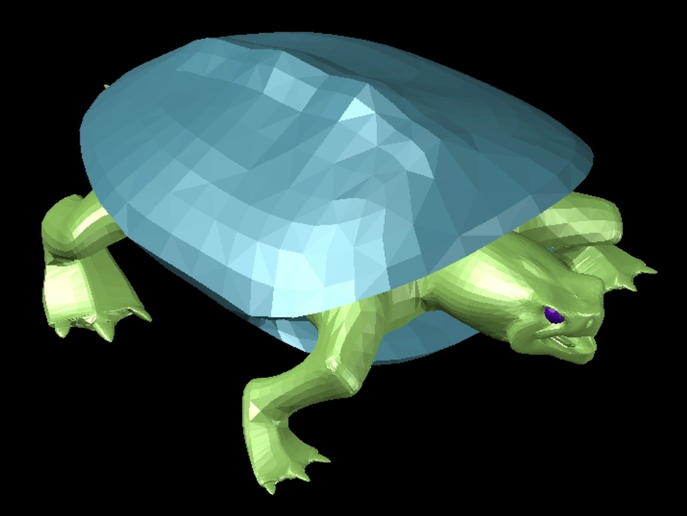 Schildkröte in 3D.
