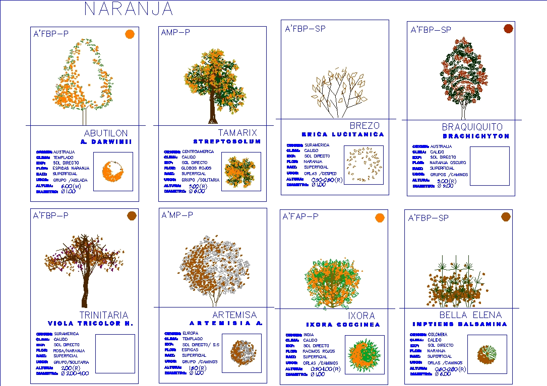 Cuadro de Vegetacion Naranja