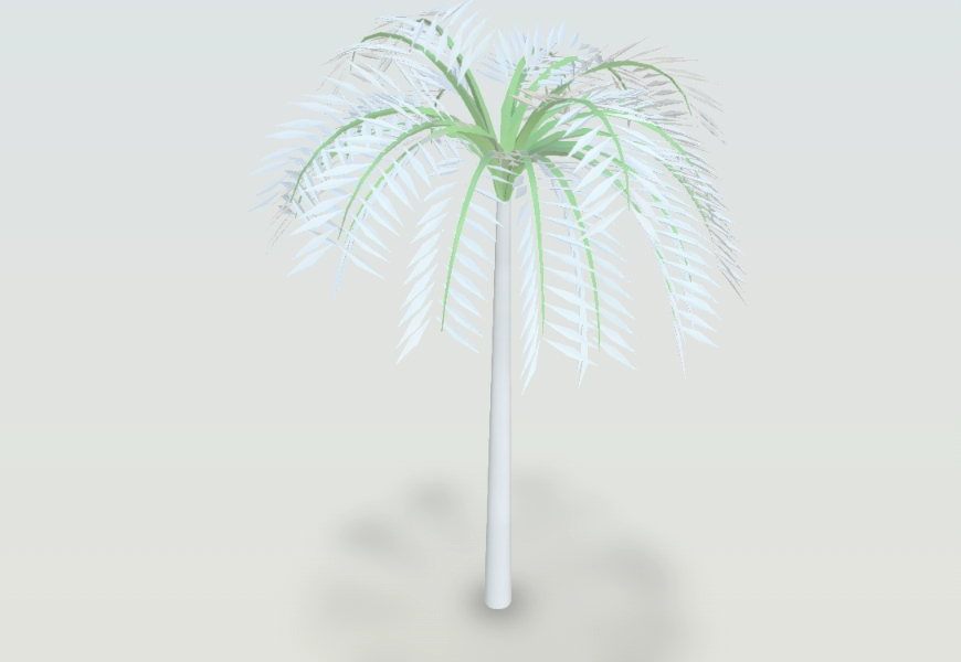 Palm in 3d