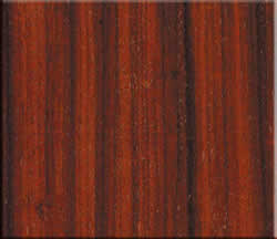 Texture of wood