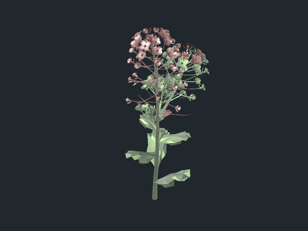 fleur 3D