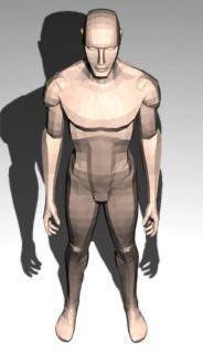 Human figure 3d