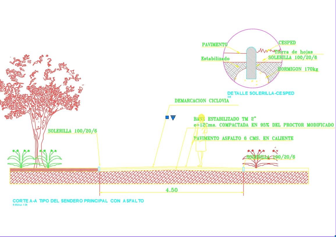 Section cyclevia