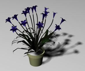 3D Flowers
